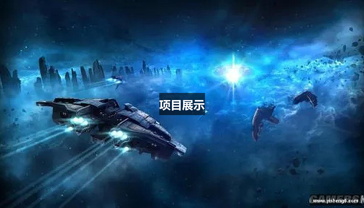 项目展示